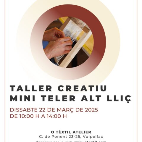 TALLER CREATIU MINI TELER ALT LLIÇ