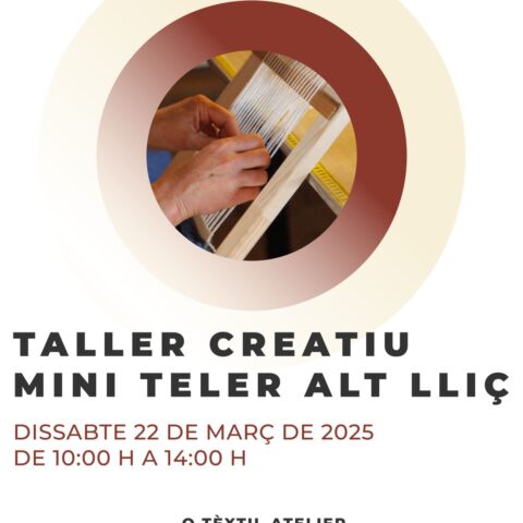 TALLER CREATIU MINI TELER ALT LLIÇ