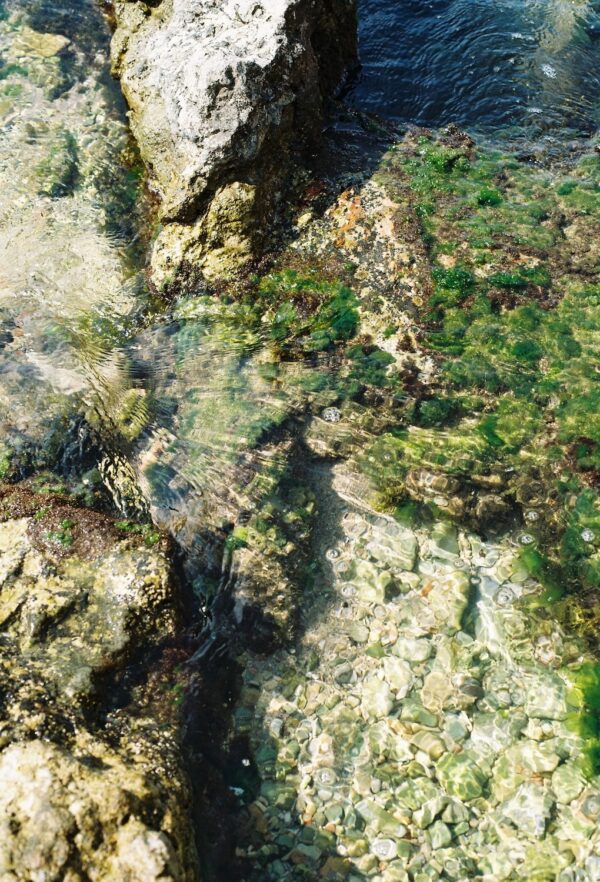 LIQUEN I MAR - Écharpe - Imatge 3